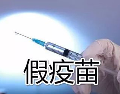 非洲豬瘟有疫苗了？假的！