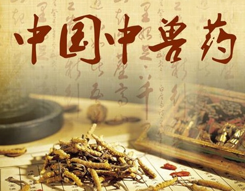 1713232720204837.jpg X4.jpg