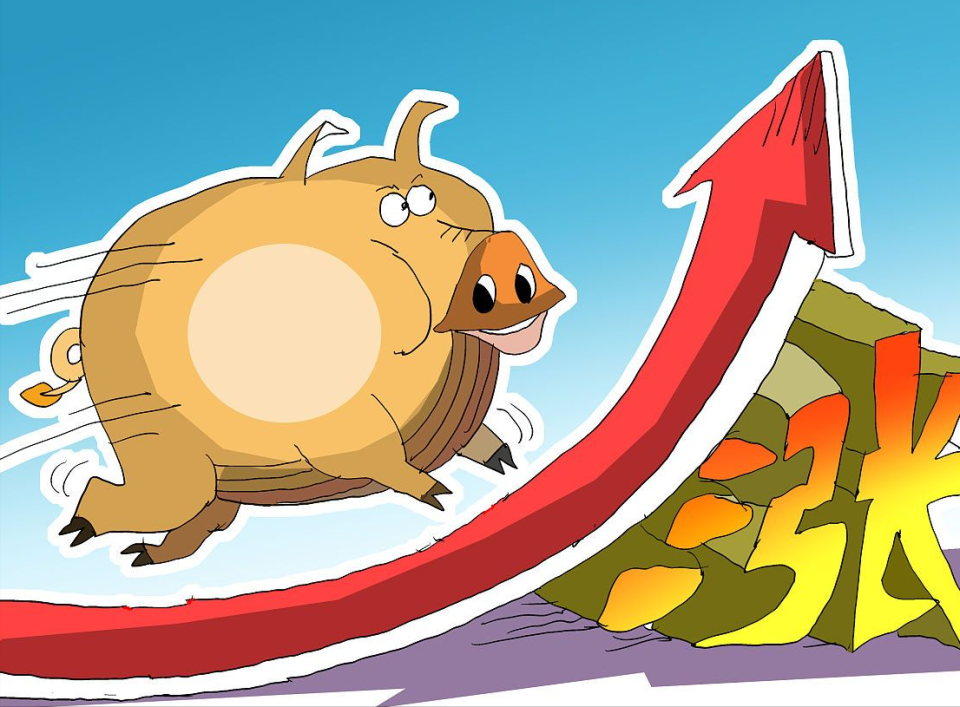 屠企提高白條售價(jià) 短時(shí)豬價(jià)或仍有進(jìn)一步上漲可能